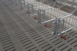 Schweinespaltenboden